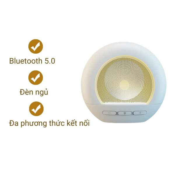 Loa Bluetooth Mã P-LOA22