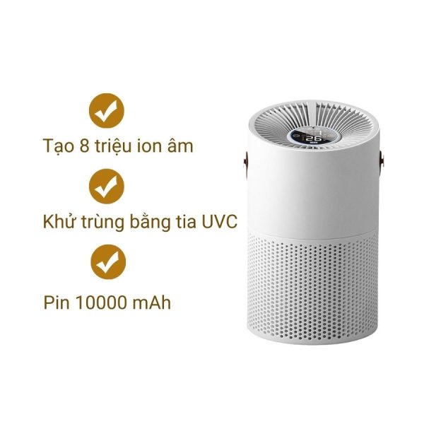 Máy lọc không khí cầm tay mã P-ML12