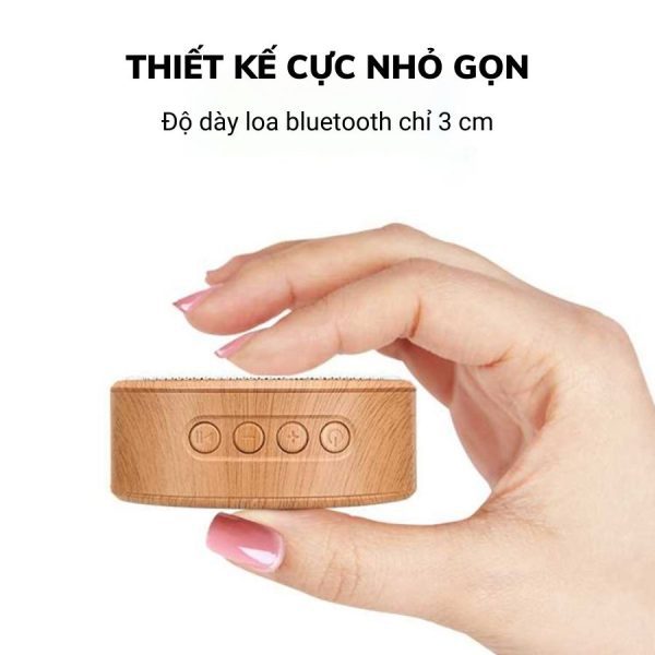 Loa Bluetooth Gỗ Mã P-LOA16