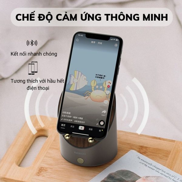 Loa Bluetooth đa năng mã P-LOA09