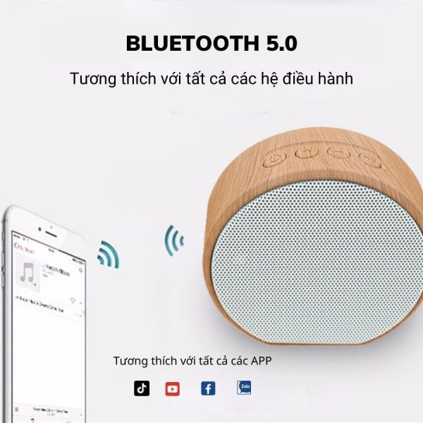 Loa Bluetooth Gỗ Mã P-LOA16