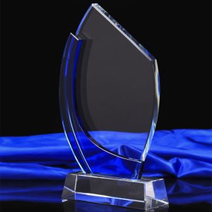 Kỷ niệm chương PL01