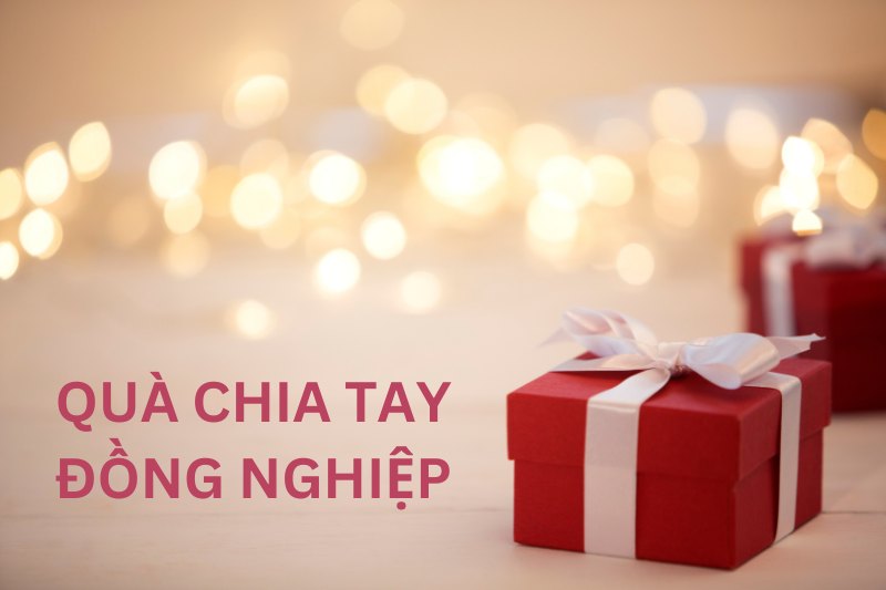 qua tang chia tay dong nghiep 1