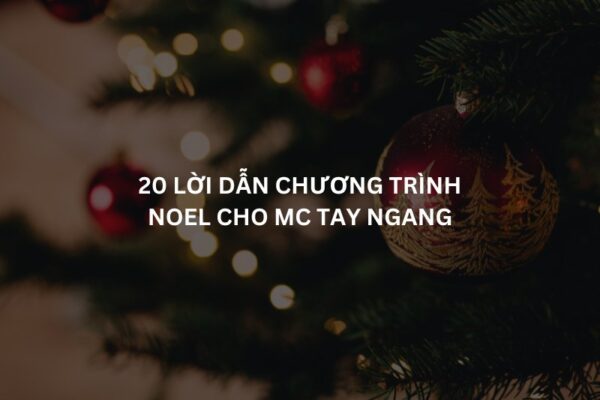 loi dan chuong trinh noel