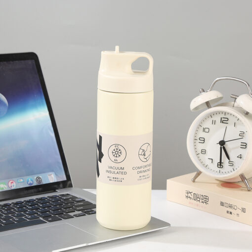 Bình giữ nhiệt dung tích 550ml