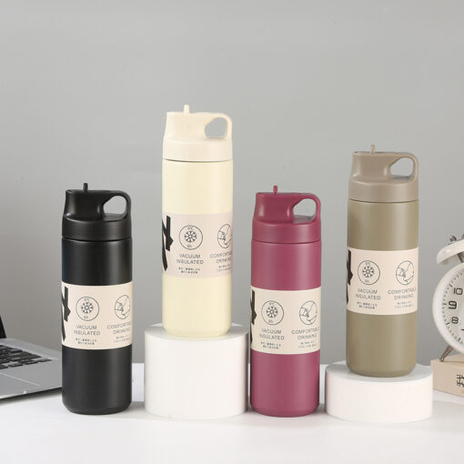 Bình giữ nhiệt dung tích 550ml