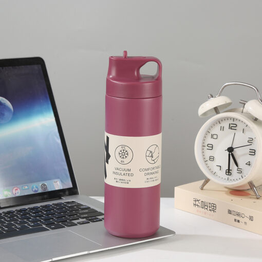 Bình giữ nhiệt dung tích 550ml