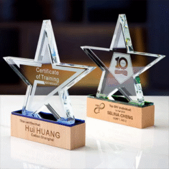 Cup ngôi sao đế gỗ