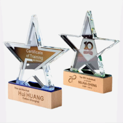 Cup ngôi sao đế gỗ