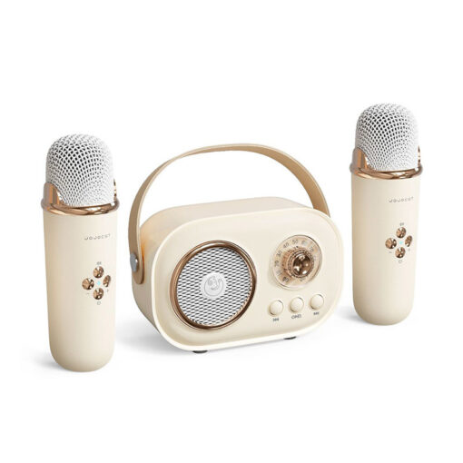 Loa bluetooth tích hợp micro không dây mini