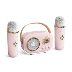 Loa bluetooth tích hợp micro không dây mini