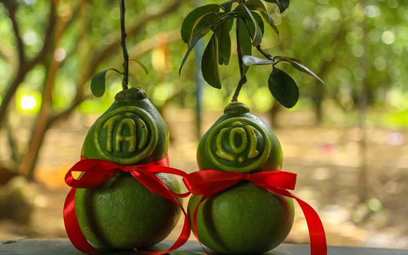 quà Tết cho bố mẹ